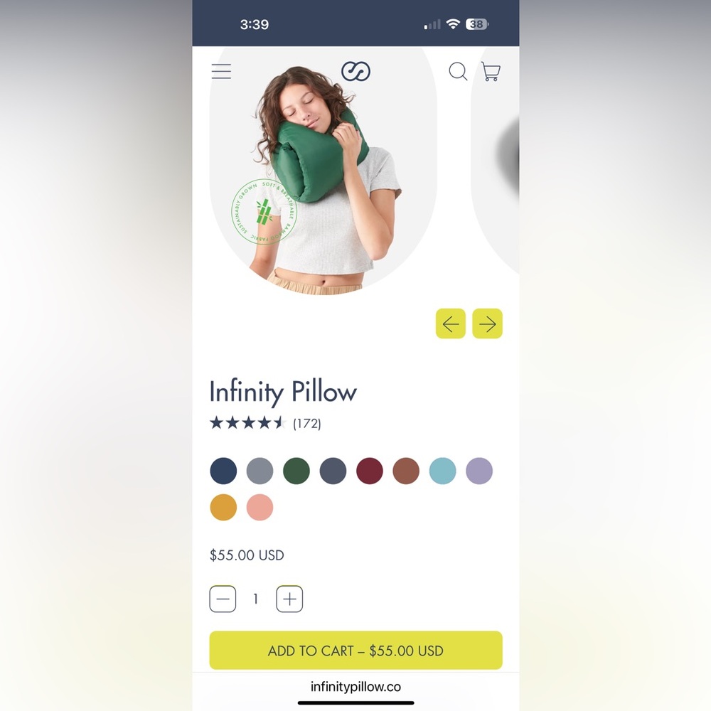 Travel Infinity Pillow